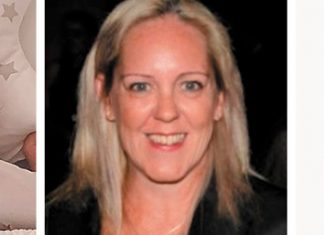 Expanding nest – Helen joins the Little Chick team Little Chick Helen Morley