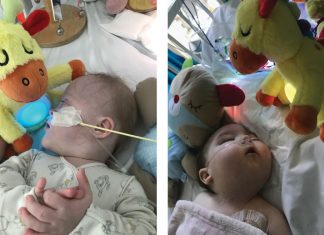 Red Kite support local NHS