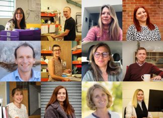 Meet the Hippychick team and their brand new website