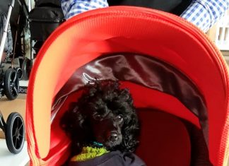 Retailer Samuel Johnston Baby partners with ClIC Sargent