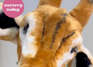 Dream big with CuddleCo