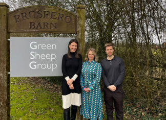 Green Sheep Group Bolsters its Team with Strategic Trio