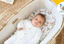 See Clair de Lune at Harrogate 2023 See Clair de Lune