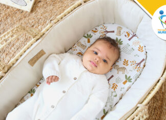 See Clair de Lune at Harrogate 2023 See Clair de Lune