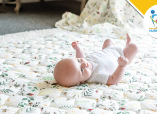 Works of art at Harrogate 2023 The Gilded Bird at Harrogate 2023