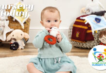 See Rainbow Designs at Harrogate 2024