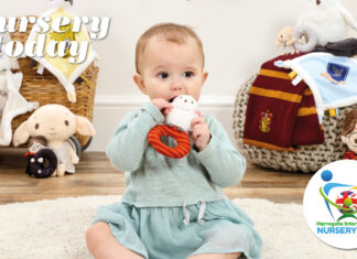 See Rainbow Designs at Harrogate 2024