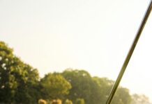 Get in the swing with Nursery Today