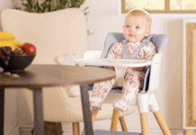 Practical feeding with Red Kite