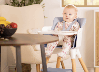 Practical feeding with Red Kite