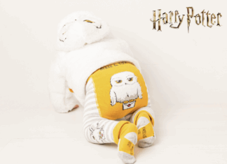 Exciting News from Blade & Rose