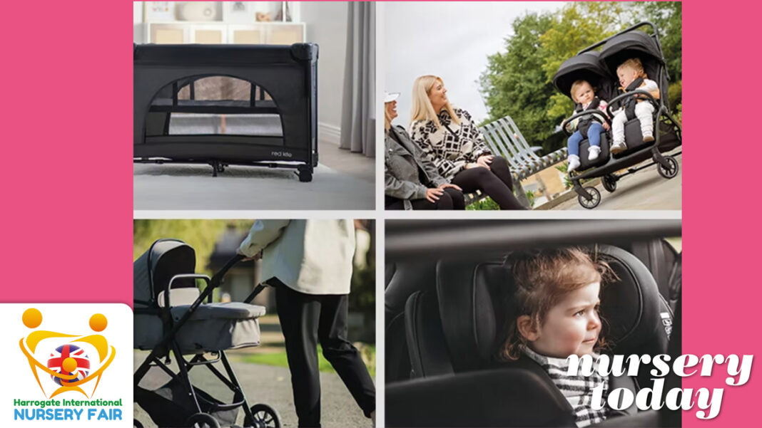 Red Kite at Harrogate 2025