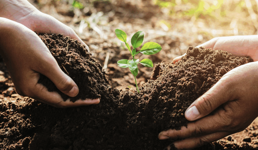 Screenshot 2025-10-17 at 14.34.12