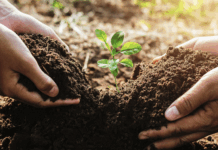 SGS becomes key EcoVadis global consulting partner