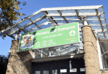 HINF reports positivity following another quality show