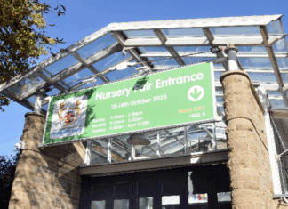 HINF reports positivity following another quality show