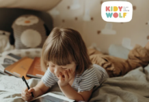 LittleConcepts brings Belgian toy brand Kidywolf to UK